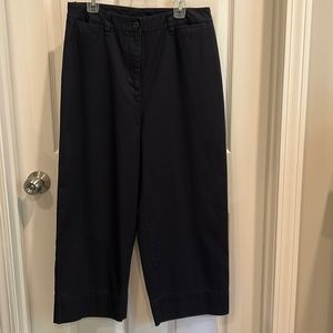 Causal Corner Annex size 6 navy cropped pants